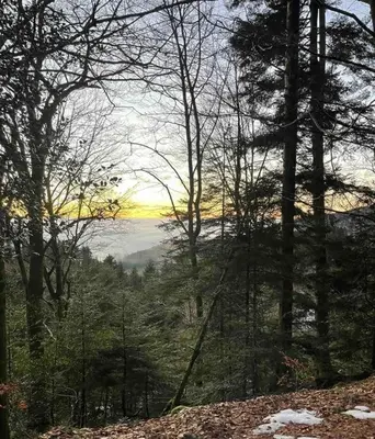 Paysage naturel près de la maison de vacances