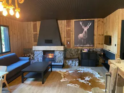 Cuisine ou kitchenette dans l'établissement Chalet en forêt avec etang.