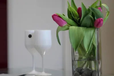 Boissons dans l'établissement A few steps from BASEL with Balcony and free private Parking