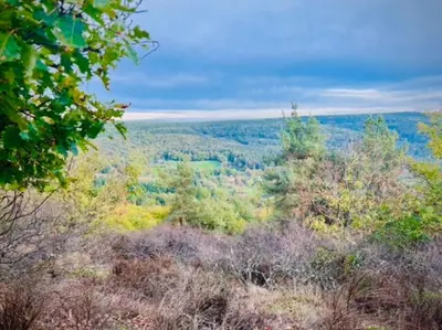 Paysage naturel près de l'appartement
