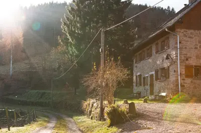 Paysage naturel près de la maison de vacances