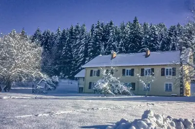 L'établissement Chalet Cosy Lisière de Forêt en hiver
