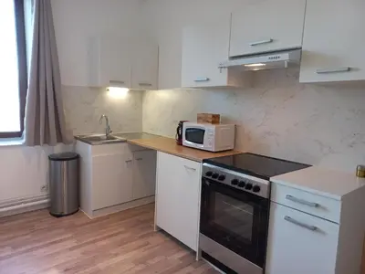 Cuisine ou kitchenette dans l'établissement Appartement Les Iris, au calme, proche du centre