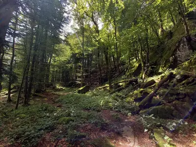 Paysage naturel près de la maison de vacances
