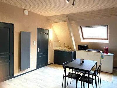 Cuisine ou kitchenette dans l'établissement le duplex
