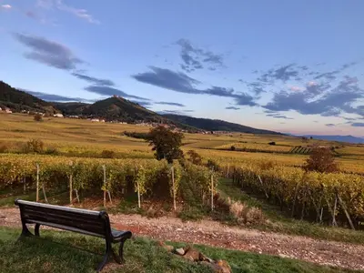 Paysage naturel près de l'appartement