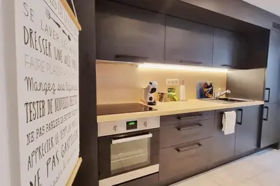 Cuisine ou kitchenette dans l'établissement SouthBay Appartement Hyper Centre Mulhouse