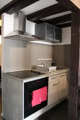 Cuisine ou kitchenette dans l'établissement Appartement les Violettes