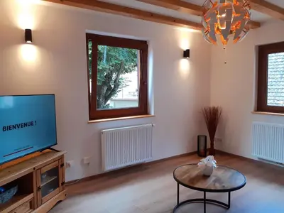 Télévision ou salle de divertissement dans l'établissement Coup de cœur en Alsace ! Proche Colmar et sur la route des Vins, Gîte de la Muse avec son jardin