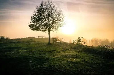 Paysage naturel près de la maison de vacances