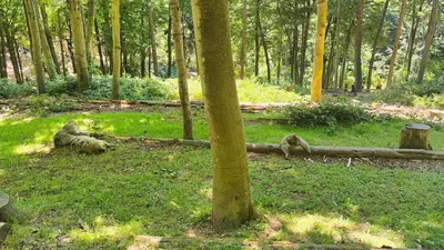 Jardin de l'établissement Bel appartement F2 entièrement rénové