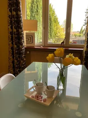 Plan de l'établissement Appartement avec jardin centre ville de Belfort