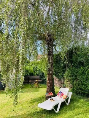 Jardin de l'établissement Appartement avec jardin centre ville de Belfort