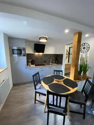 Cuisine ou kitchenette dans l'établissement Studio tout confort, à 2 min de Colmar