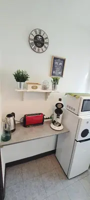 Cuisine ou kitchenette dans l'établissement Petit cocon nature centre-ville