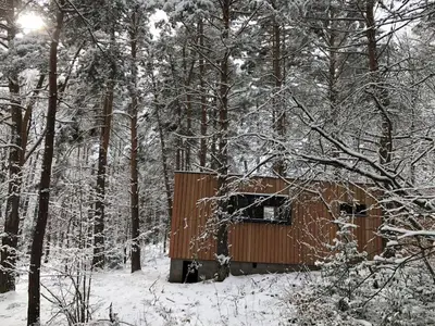 L'établissement Holiday home under the trees en hiver