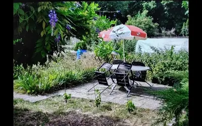 Jardin de l'établissement Studio côté jardin