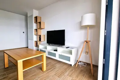 Télévision ou salle de divertissement dans l'établissement Le frontalier appart