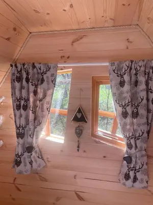 Plan de l'établissement Cabane Insolite Cosy
