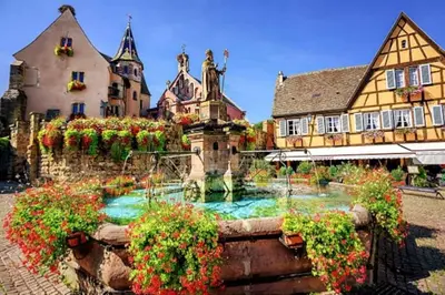 Jardin de l'établissement BREDALA**** Gîte maison Alsacienne avec Jardin