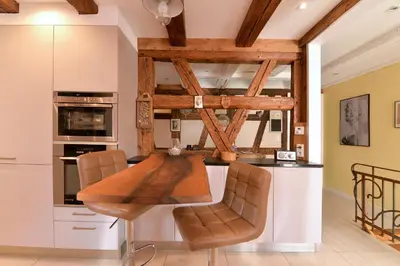 Cuisine ou kitchenette dans l'établissement Belle Maison Alsacienne de 1610