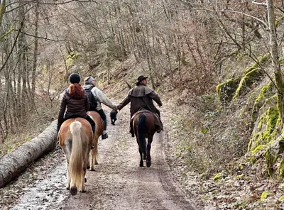 Équitation au sein de l'appartement ou à proximité
