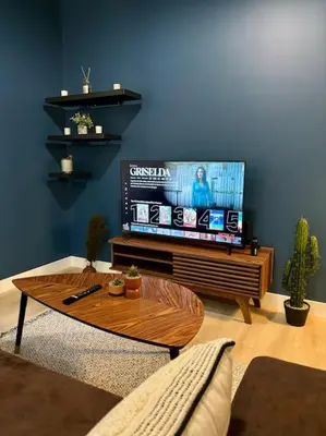 Télévision ou salle de divertissement dans l'établissement ClassicBlue, centre de Mulhouse