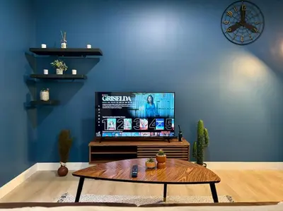 Télévision ou salle de divertissement dans l'établissement ClassicBlue, centre de Mulhouse