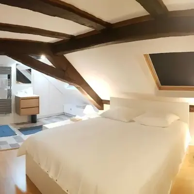 Les Toits de Colmar