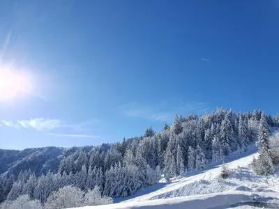 L'établissement Agréable 3 pièces au Lac Blanc en hiver
