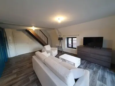 Télévision ou salle de divertissement dans l'établissement Appartement 2 pièces tout confort, Aux Portes de Colmar