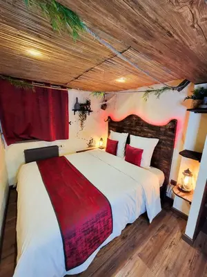 Un ou plusieurs lits dans un hébergement de l'établissement Dormir Chez les Pirates charme & confort à 10 min de Colmar