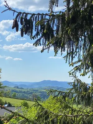 Paysage naturel près de le chalet