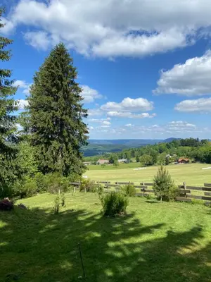 Paysage naturel près de le chalet