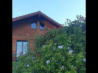 Jardin de l'établissement Chalet Bois Cosy - Climatisé - Piscine privée