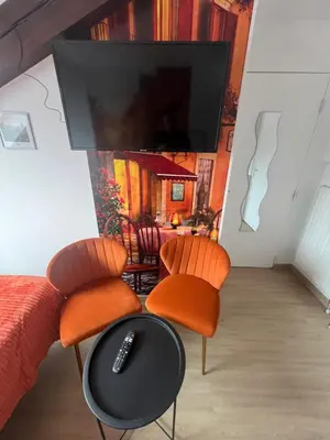 Télévision ou salle de divertissement dans l'établissement Esprit Italie, joli studio au coeur de Mulhouse