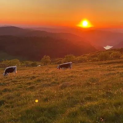 Paysage naturel près de l'appartement