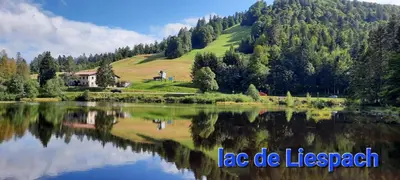 Paysage naturel près de l'appartement