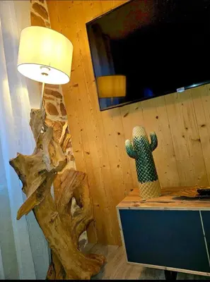Télévision ou salle de divertissement dans l'établissement Les Boisés à Kaysersberg+ 1 place de parking