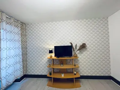 Télévision ou salle de divertissement dans l'établissement Thé Pékin