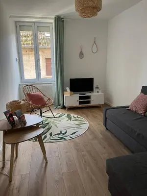 Télévision ou salle de divertissement dans l'établissement *La Belle Saison* lumineux, espace de travail, Wifi, Belfort ville
