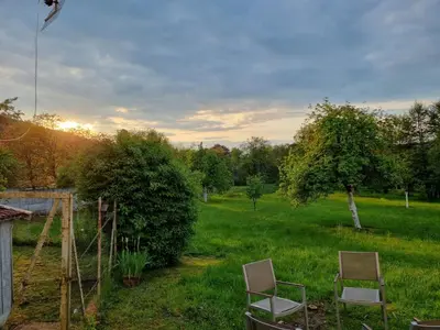 Jardin de l'établissement Domaine La Bonne Dame - Merle, au coeur des Vosges