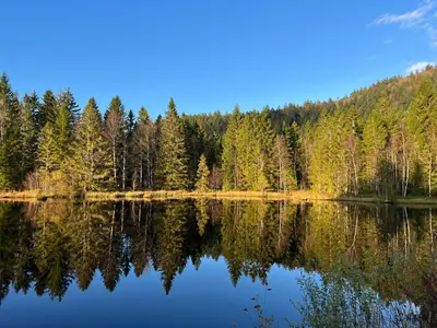 Paysage naturel près de l'appartement