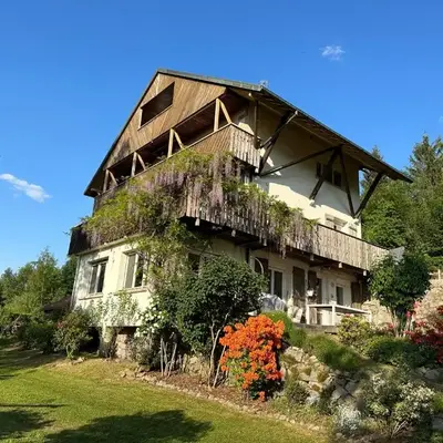 Gérardmer chalet le Belvédere vue lac