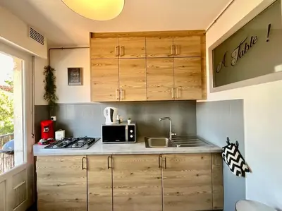 Cuisine ou kitchenette dans l'établissement Epicea, bel appartement avec balcon au centre ville