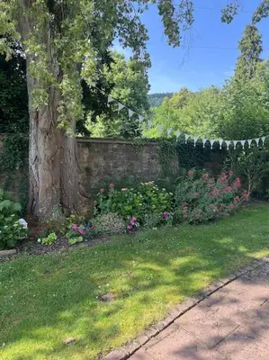 Jardin de l'établissement Villa AROHA