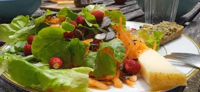 Nourriture dans la maison d'hôtes ou à proximité