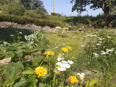 Jardin de l'établissement Chemin de résilience, séjours détente et nature