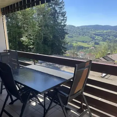 Appartement accueillant aux Tholy 31 m² vue montagne