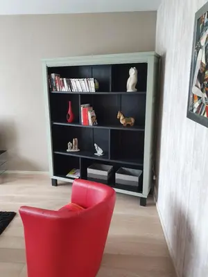 Bibliothèque dans l'appartement